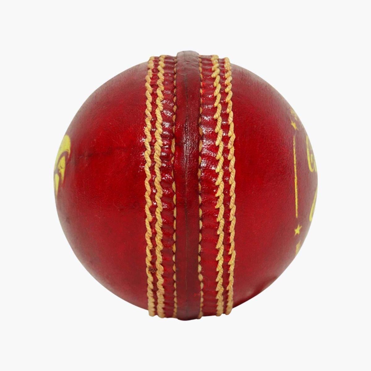 DSC Club Match Leather Ball - Vaayu Sports